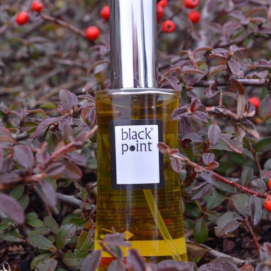 Black point 2025 perfume price